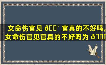 女命伤官见 🌴 官真的不好吗,女命伤官见官真的不好吗为 🐎 什么